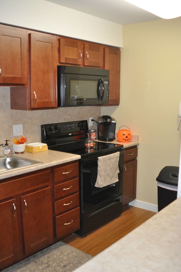 Photos and Video of Torrey Woods in Weymouth, MA